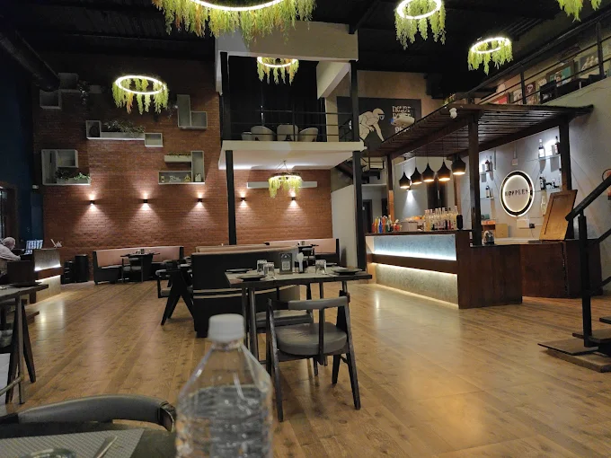 Hoppers dining hall with bar and hanging greenery